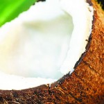 coconut