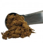 tribulus_terrestris-web