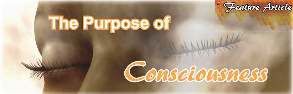 Purpose-of-Consciousness-Header