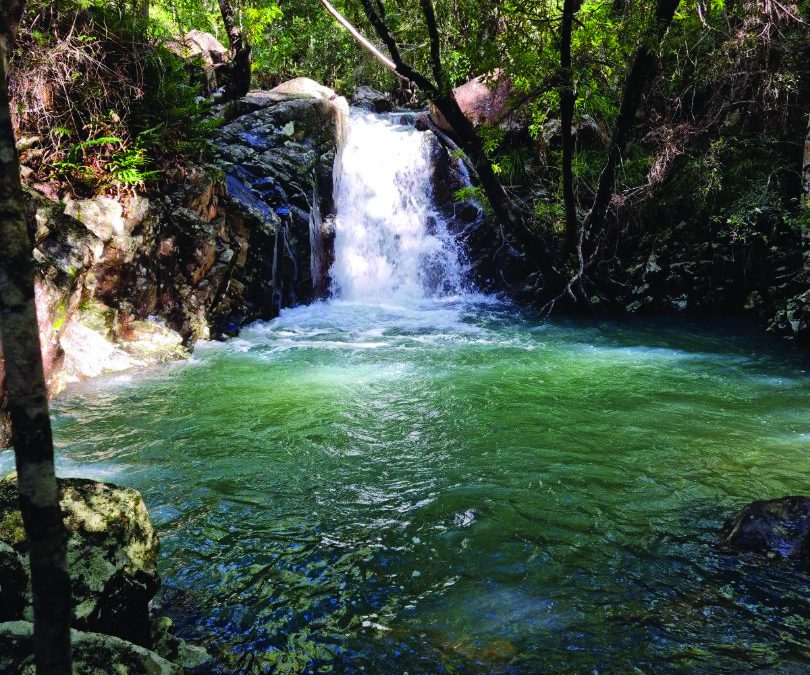 Ayurveda & Yoga Retreats