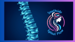 Southside Spinal Flow